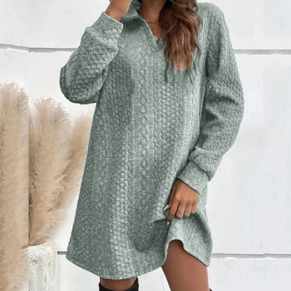 Basic Hooded Daily Going Out Fashion Solid Long Sleeve Casual Women's Dress