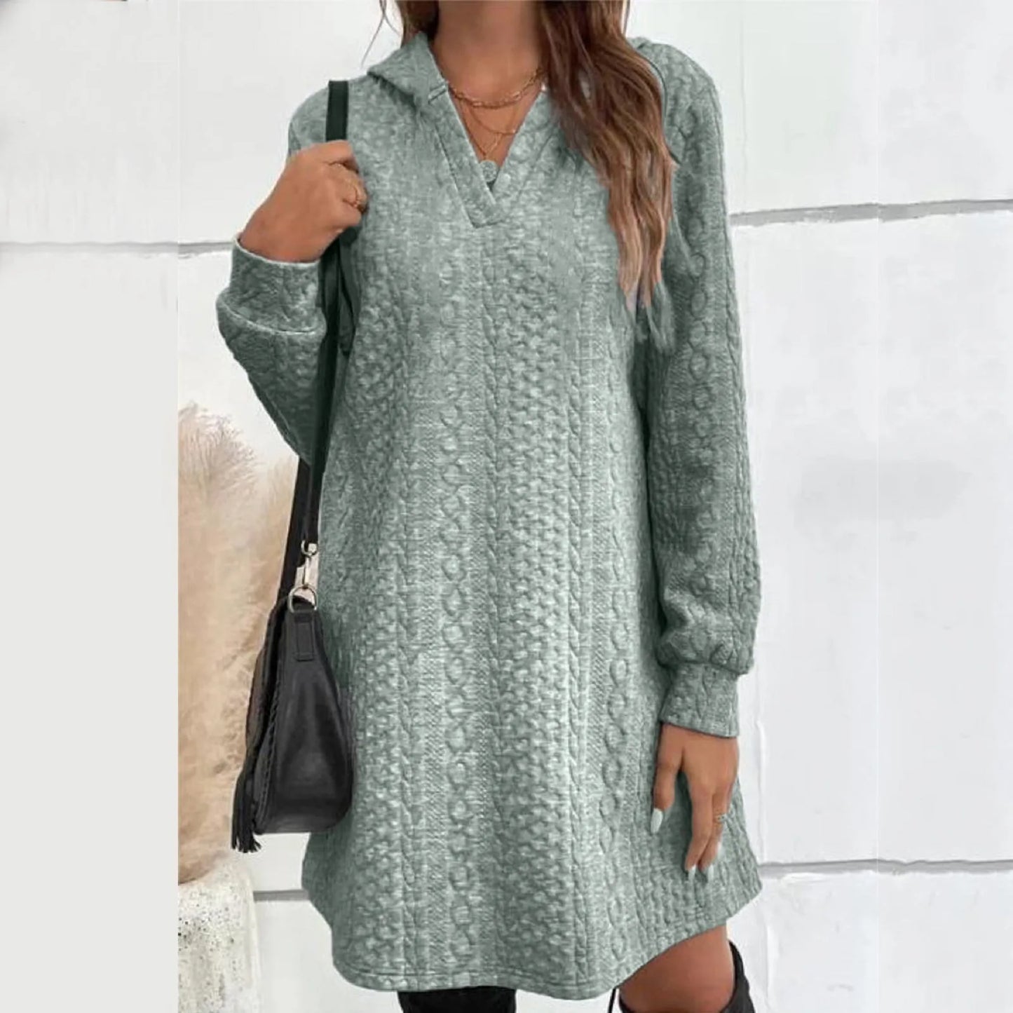 Basic Hooded Daily Going Out Fashion Solid Long Sleeve Casual Women's Dress